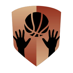 icon badge rebounder bronze