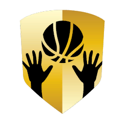 icon badge rebounder gold