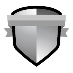 icon skillbadge silver