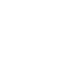 icon badge defender white
