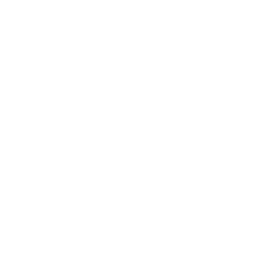 icon badge playmaker white