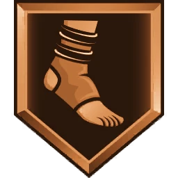 Ankle Braces