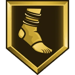 Ankle Braces