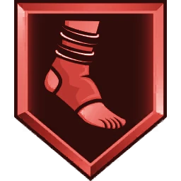 Ankle Braces