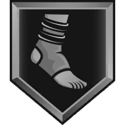 Ankle Braces